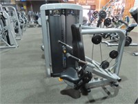 Life Fitness Tricep Press Station & Weights