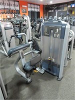 Precor Tricep Extension Station  & Weights