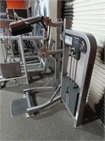 Life Fitness Standing Calf Station & Weights
