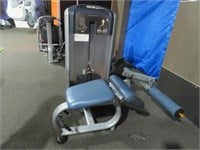 Precor Prone Leg Curl Station & Weights