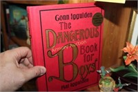 THE DANGEROUS BOOK FOR BOYS