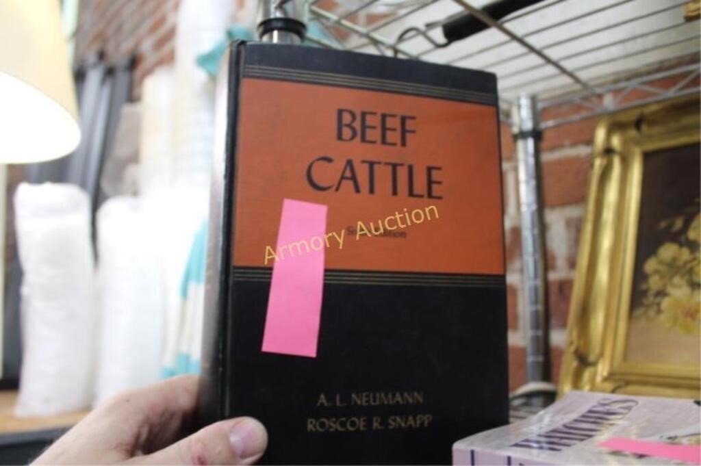 BEEF CATTLE