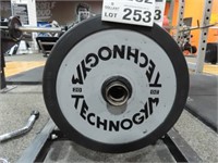 2 Techno Gym 20Kg Plates