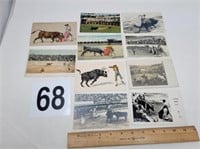 10 Bullfighting postcards