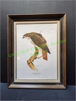 Tom Dunnington Red Tailed Hawk Print in Frame
