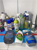 Cleaning products. Some partial bottles. Some new