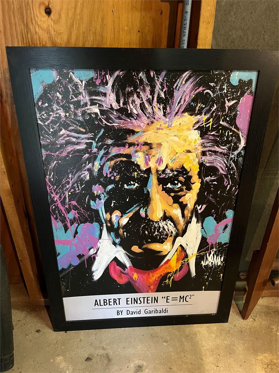 Albert Einstein Framed Art Print