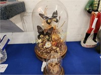 TWO GLASS DOMED BUTTERFLY TAXIDERMY DISPLAYS