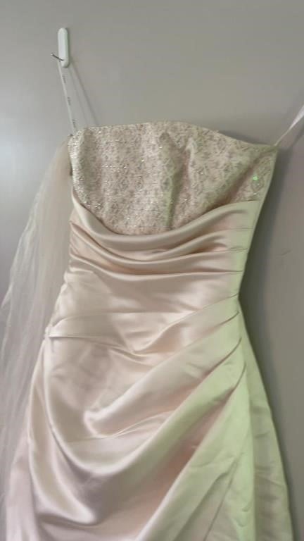David’s Bridal Dress Size 16 with veil