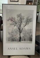 Adams, Ansel, Oak Tree Print