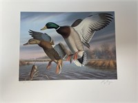 1988 Virginia First of State Duck Stamp,Print