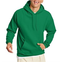 Hanes mens Pullover Ecosmart Hooded Sweatshirt