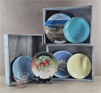 Plate & Tray Collection