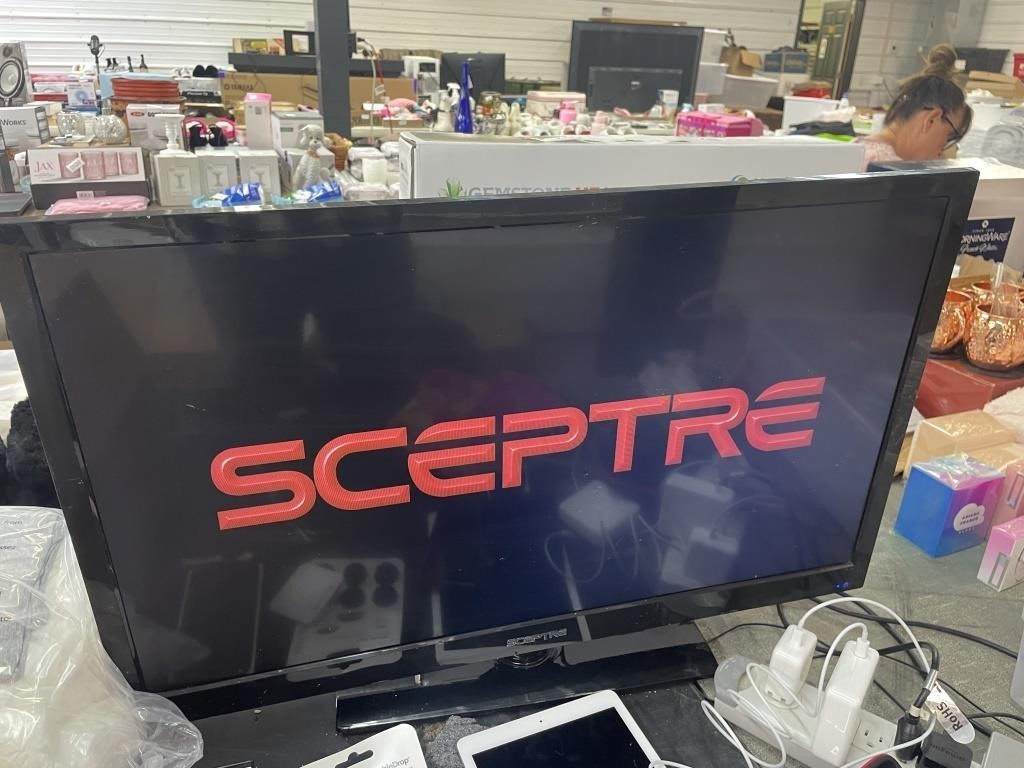 Sceptre TV DVD Player