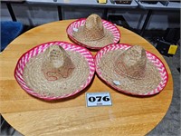 3 Cinco De Mayo Hats