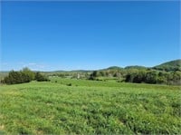 Offering #4 - +/- 11.459 acres