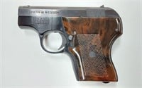 SMITH AND WESSON 22LR. CTG