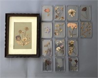 Collection of 15 Framed Dried Flowers