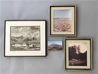 Collection of Framed Western US Photographs