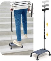 Stair Climbing Cane Half Steps for Stairs Lifts Se