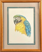 Framed Jim Wilson Signed & Numbered Parrot Print
