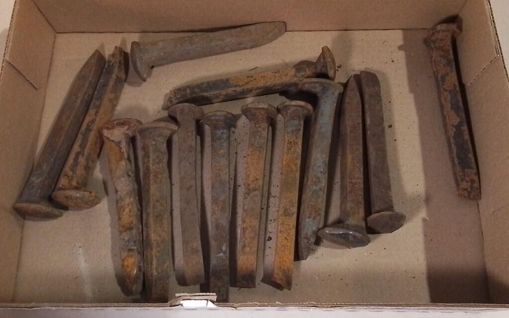 Lot Of Railroad Spikes