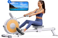 Bluetooth Magnetic Rower
