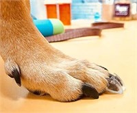 Dr. McHenry's Dog Toe Treads, Set of 24,