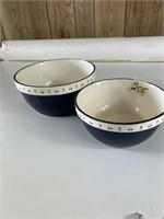 Set of 2 Blue floral bowls
