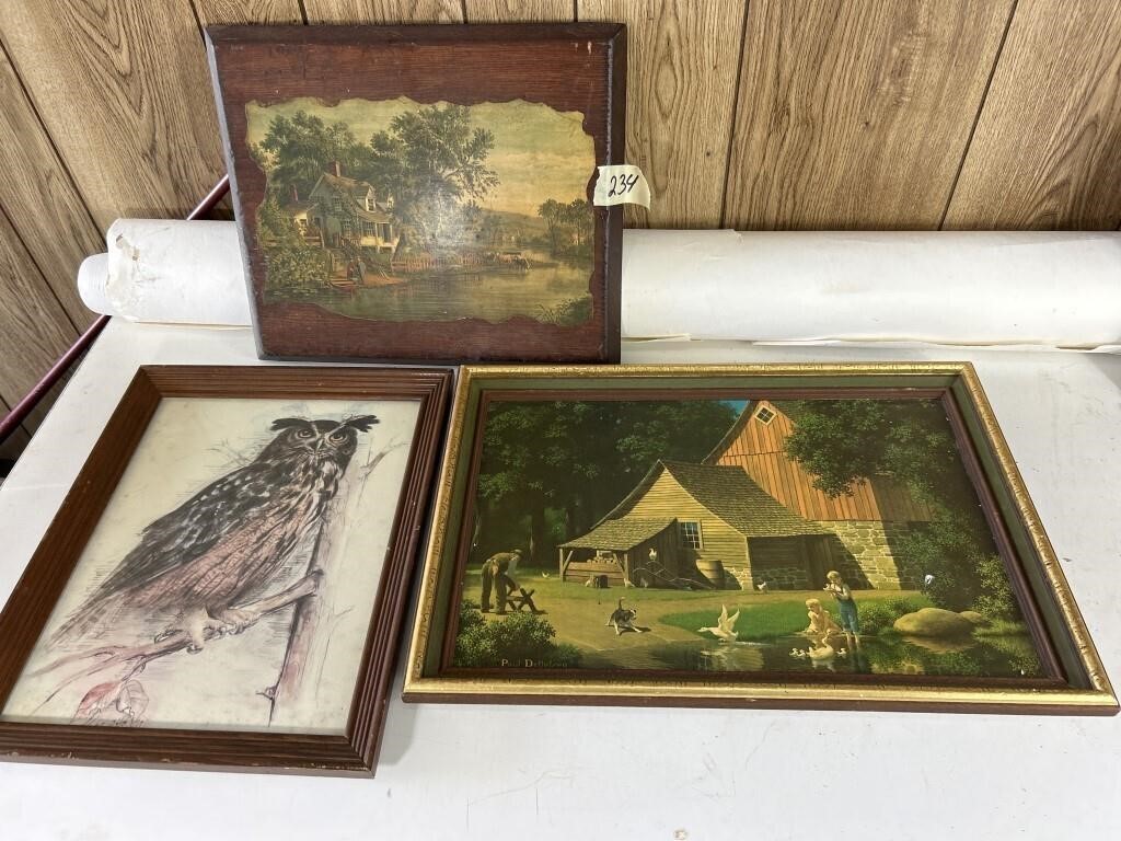 River picture, homestead picture, owl picture