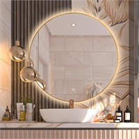 Niccy 24" LED Backlit Round Mirror for Bathroom,