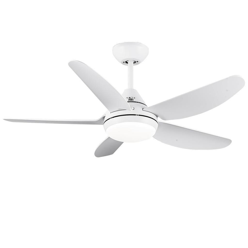 wurzee Ceiling Fan with Lights Remote Control,