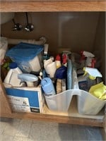 All Cleaning Supplies in Cabinet