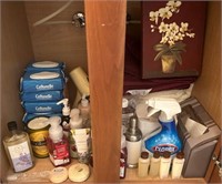 L - LOT OF PERSONAL CARE & CLEANING SUPPLIES (HB)