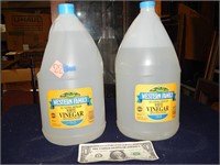 2ct Western Family White Vinegar (1 opened)