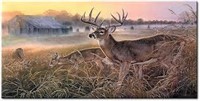 SEALED-Deer Canvas Print Wall Art