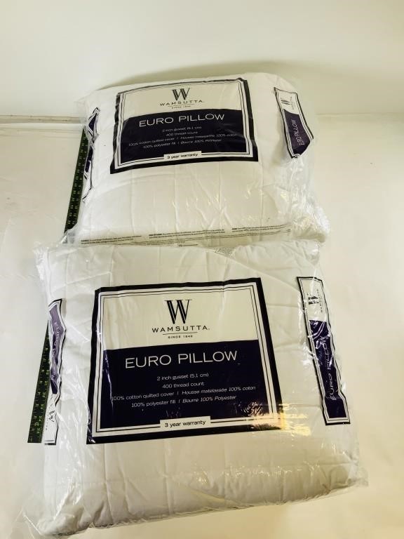 2pcs XL Euro Pillows