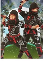 Teetot & Co Ninja Dragon Costume Kids Size 7-8 $40