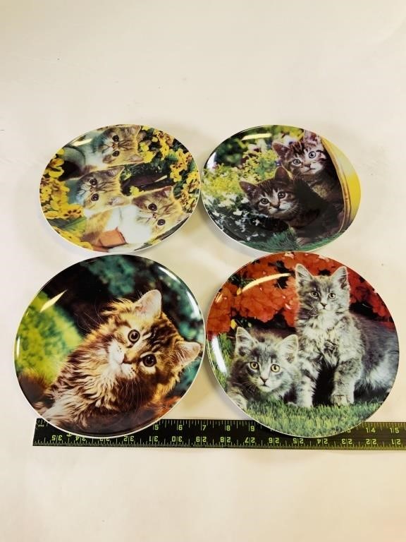 4pcs cat plates