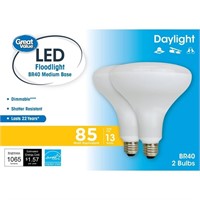 SM3967   LED Floodlight Bulb,2-Pack