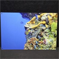 Coral Reef Photo Art on Plexiglass