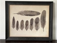Bird Feather Print 
19” x 23” Farmhouse