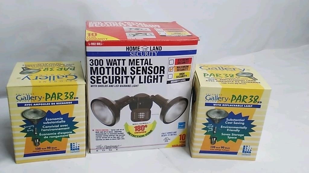 Motion security light with bulbs lot