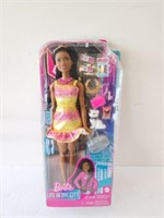 Barbie life in the city 12 in