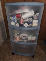 Storage tote with supplies