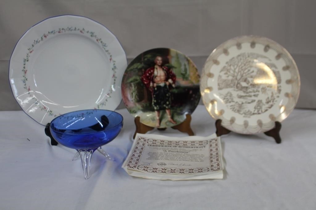 Fine Bohemiam china plate, 12"  Collector plate