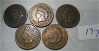 5 Pc 1883-1907 Asst Indian Head Pennies