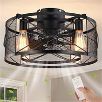 haodengshi Caged Ceiling Fan with Light, 20 In Cei