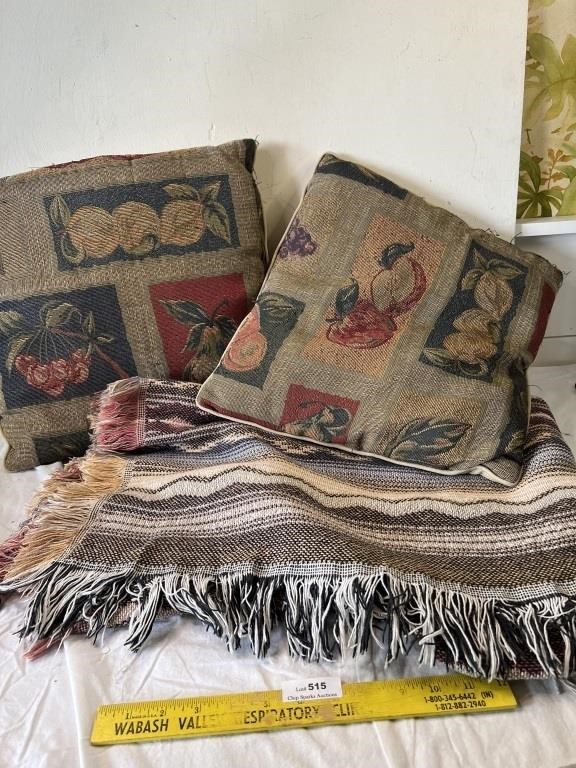 Blanket and Pillows Lot
