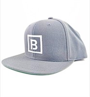 BOMBING SCIENCE SNAPBACK (SQUARED) - SILVER